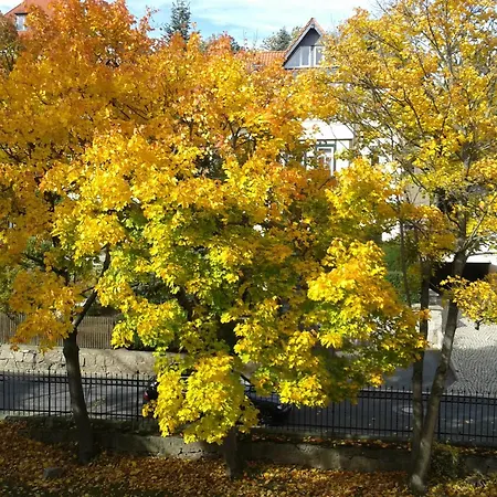 Pensionat Haus Marga 3*