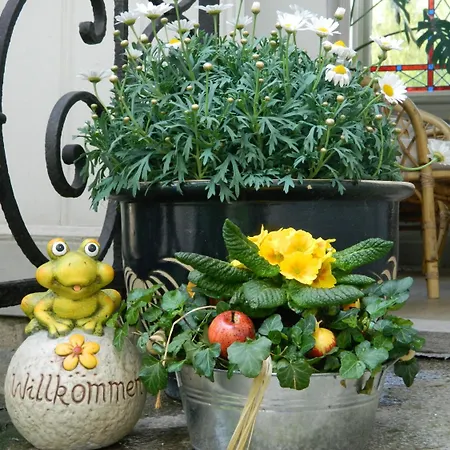 Haus Marga Pensjonat Wernigerode