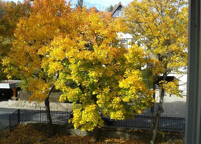 Gasthof Haus Marga 4*