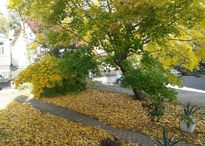 Pensionat Haus Marga Wernigerode