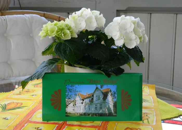 Pensionat Haus Marga 3*